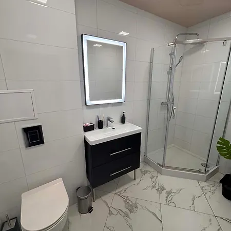 Apartment D'ali W Centrum Poznania